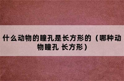 什么动物的瞳孔是长方形的（哪种动物瞳孔 长方形）